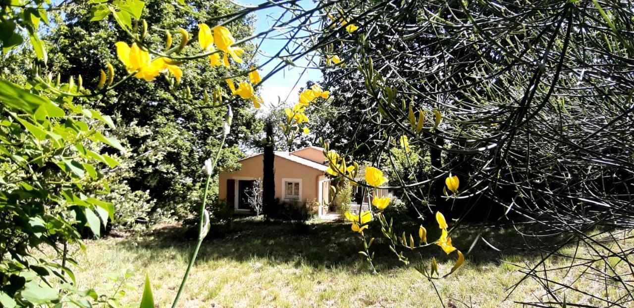 Les Lilas Des Chenes Piolenc Exterior foto