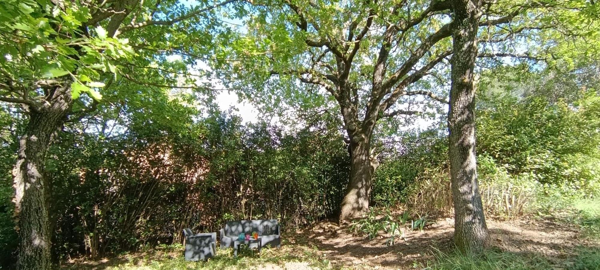 Les Lilas Des Chenes Piolenc Exterior foto