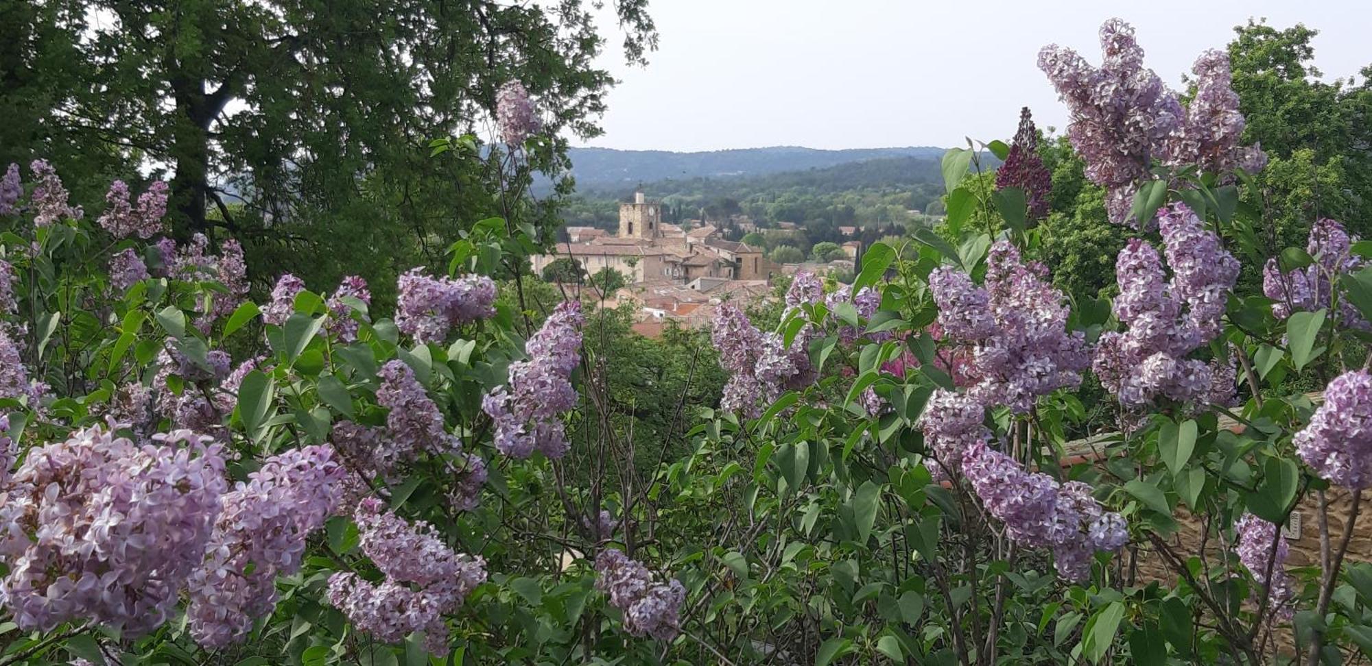Les Lilas Des Chenes Piolenc Exterior foto